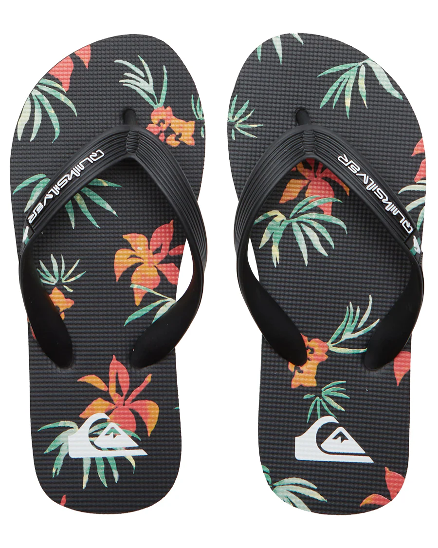 MOLOKAI ART II QUIKSILVER GARÇON GOUGOUNE