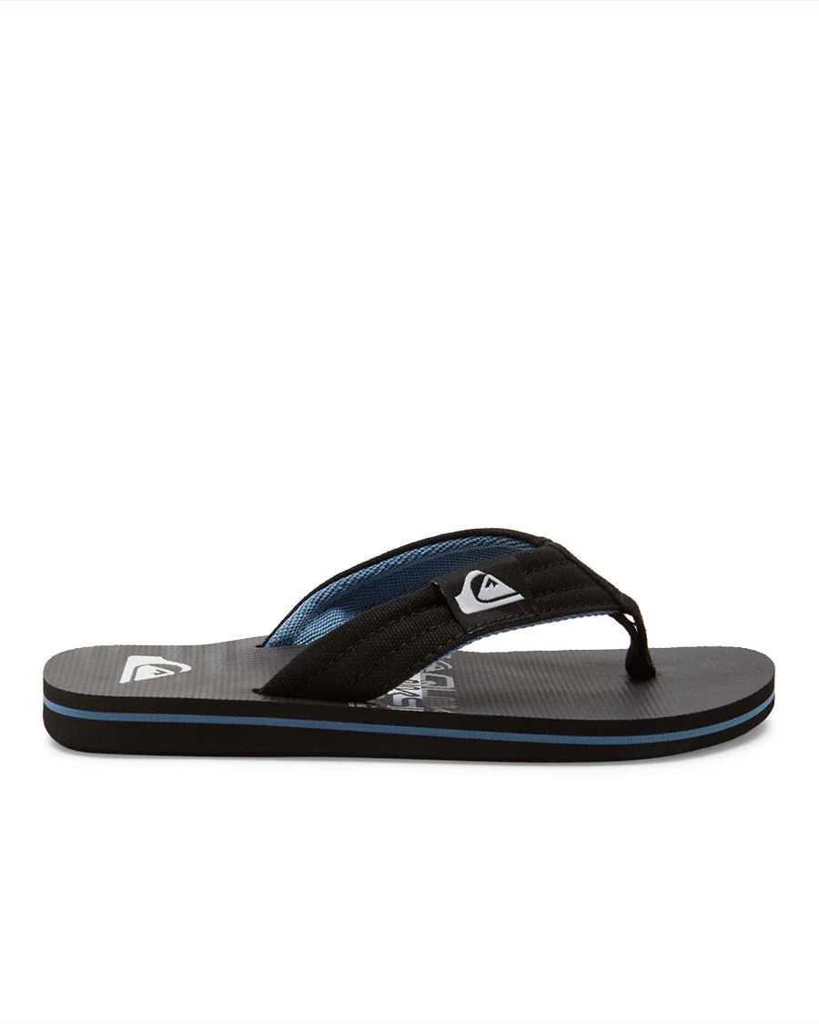 MOLOKAI LAYBACK QUIKSILVER GARÇON GOUGOUNE - Image 2