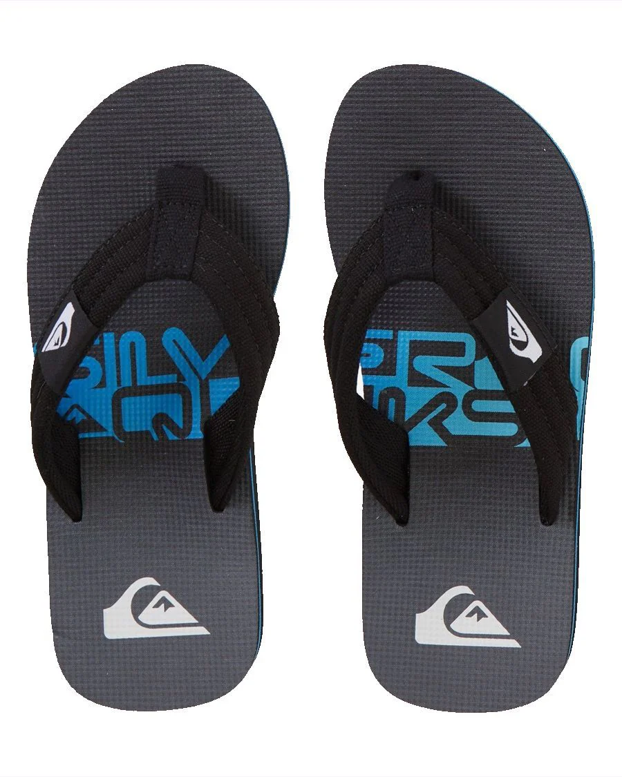 MOLOKAI LAYBACK QUIKSILVER GARÇON GOUGOUNE
