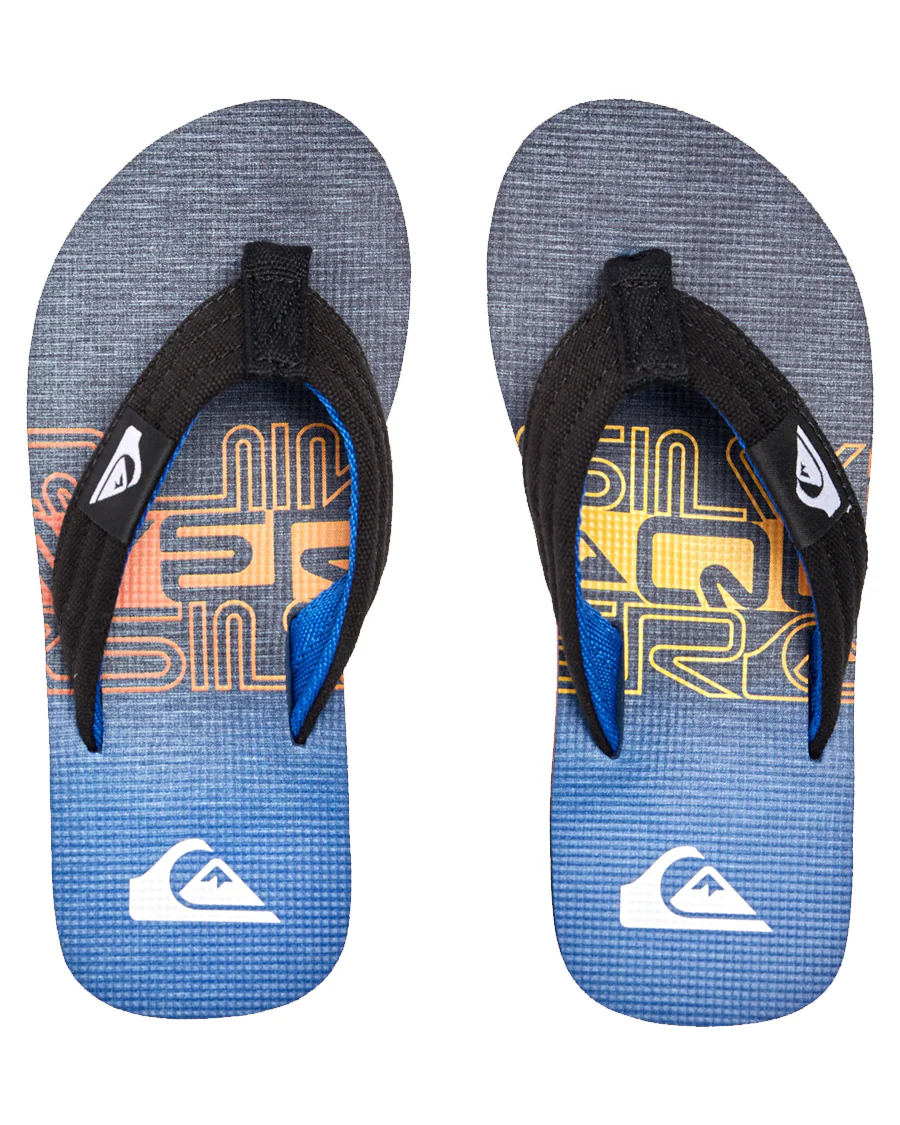 MOLOKAI LAYBACK QUIKSILVER GARÇON GOUGOUNE