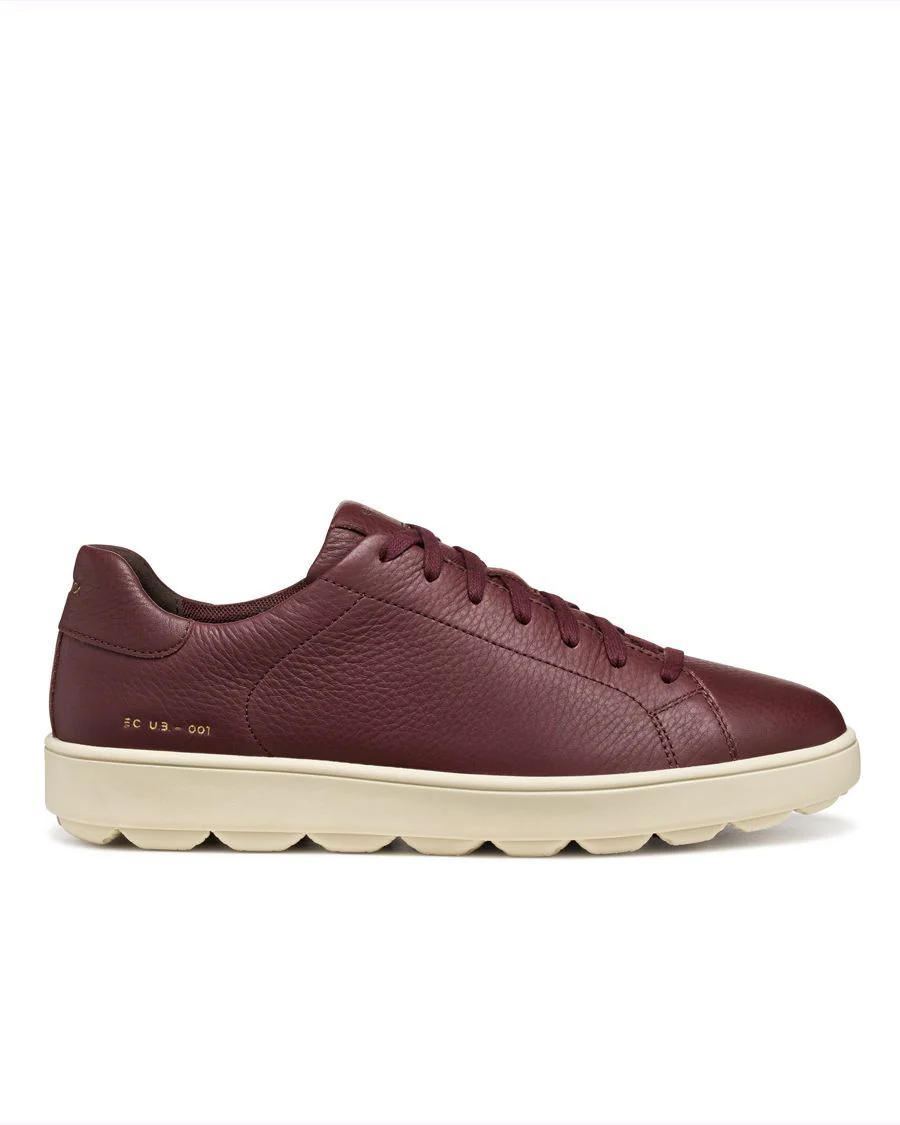 SPHERICA GEOX CHAUSSURE TOUT-ALLER
