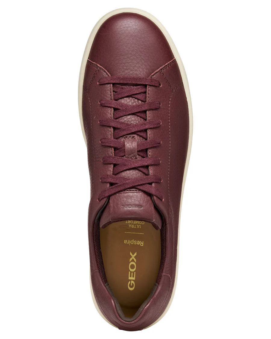 SPHERICA GEOX CHAUSSURE TOUT-ALLER - Image 2