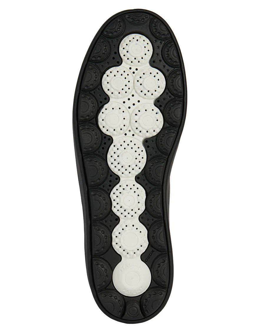 SPHERICA GEOX CHAUSSURE URBAINE - Image 5