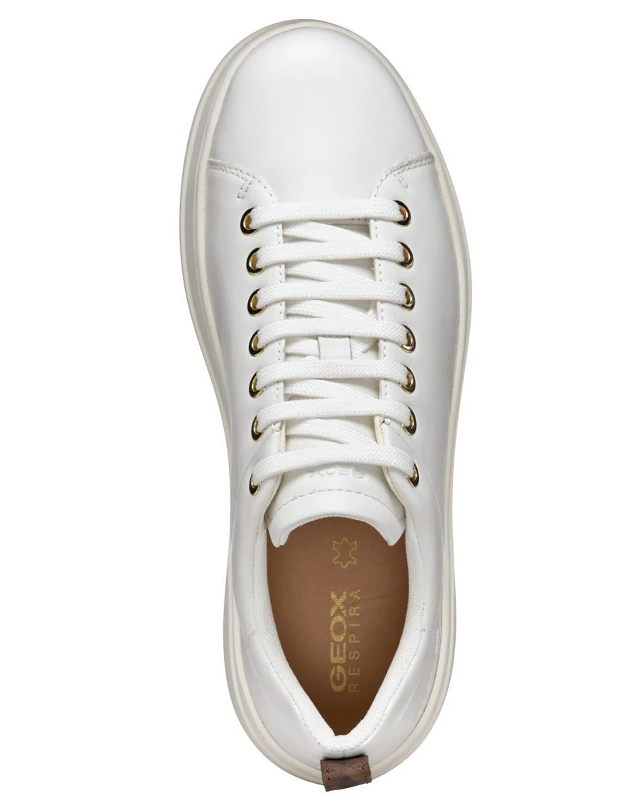 SPHERICA GEOX CHAUSSURE URBAINE - Image 5