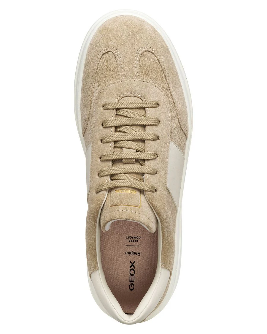 SPHERICA GEOX CHAUSSURE URBAINE - Image 4